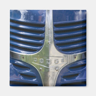 Íman EUA, MASSACHUSETTS, Martha's Vineyard: 2