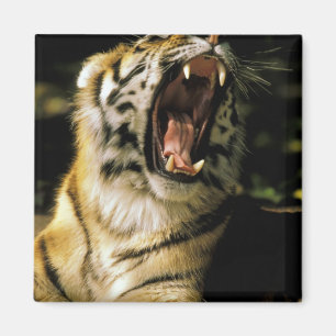 Íman EUA, Michigan, Detroit. Jardim zoológico de