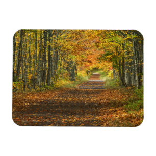 Íman EUA, Michigan, Península Superior. Estrada para