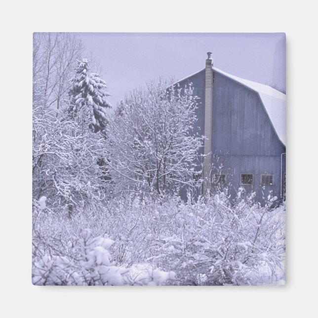 Íman EUA, Michigan, Rochester Colinas. Azul nevado (Frente)