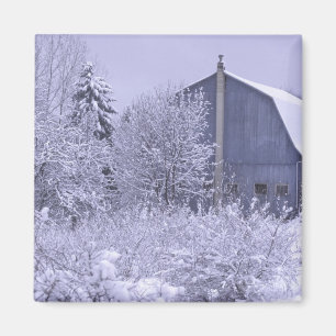Íman EUA, Michigan, Rochester Hills. Azul nevado