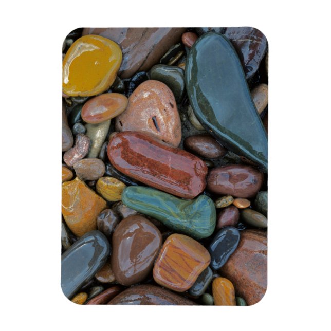 Íman EUA, Montana, Clark Fork River, Stones (Vertical)