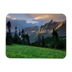 Íman EUA, Montana, Parque Nacional Glaciar, Logan Pass