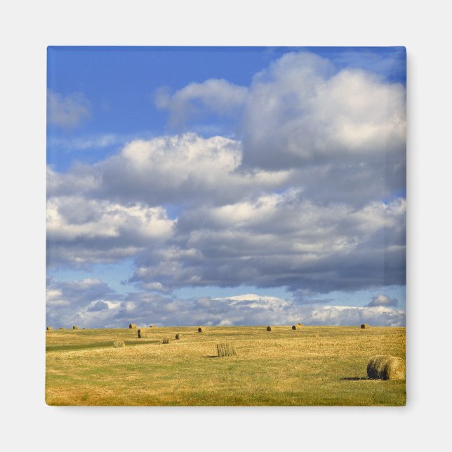 Íman EUA, Nebraska, Morrill County. Ouro (Frente)