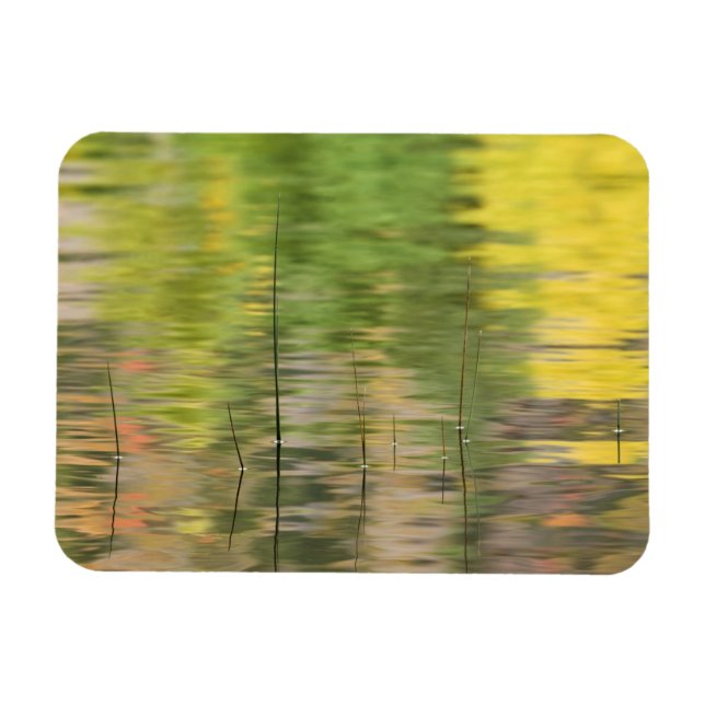 Íman EUA, Nova Iorque, Adirondacks, Reflexões na água (Horizontal)