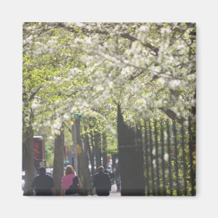 Íman EUA, Nova York, Cidade de Nova York, Manhattan: 8