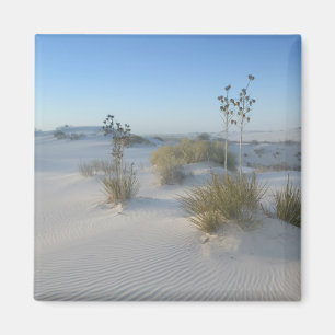 Íman EUA, Novo México, White Sands National 2