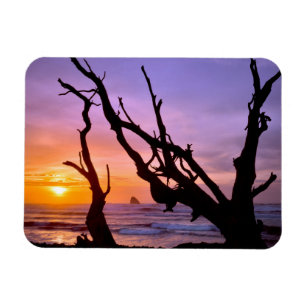 Íman EUA, Oregon, Cape Meares. Pôr do sol