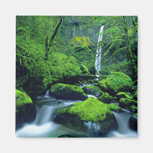Íman EUA, Oregon, Columbia River Gorge National 2