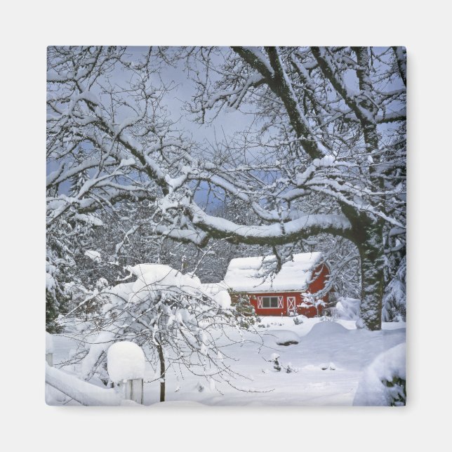 Íman EUA, Oregon, Condado de Clackamas. Neve fresca (Frente)