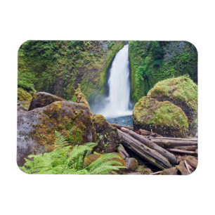 Íman EUA, Oregon, Desfiladeiro do Rio Columbia, Wahclel