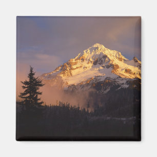 Íman EUA, Oregon, Floresta Nacional de Mt. Hood. Ondula