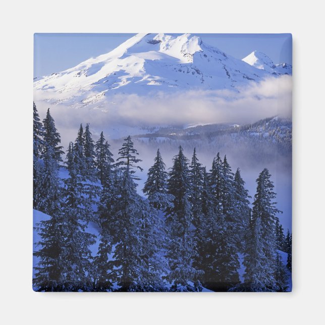 Íman EUA, Oregon, Floresta Nacional Deschutes, Sul (Frente)