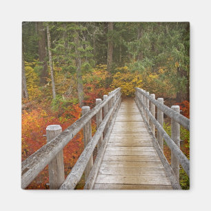 Íman EUA, Oregon, Floresta Nacional Willamette.