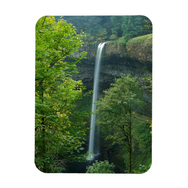 Íman EUA, Oregon, Parque Estadual Silver Falls (Vertical)
