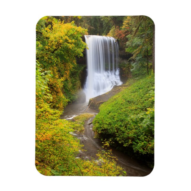 Íman EUA, Oregon, Parque Estadual Silver Falls 3 (Vertical)
