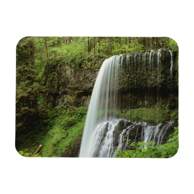 Íman EUA, Oregon, Parque Estadual Silver Falls. Baixo (Horizontal)