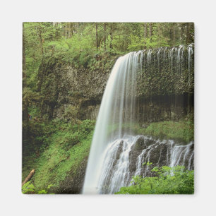 Íman EUA, Oregon, Parque Estadual Silver Falls. Baixo