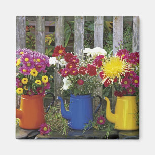 Íman EUA, Oregon, Portland. Antiquidade