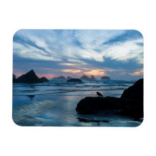 Íman EUA, Oregon, Praia de Bandon. Gaivota sobre rocha