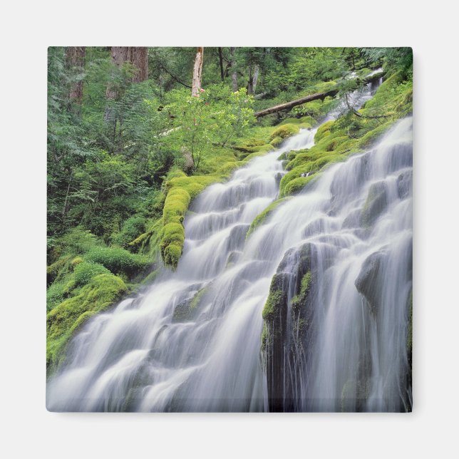 Íman EUA, Oregon, Proxy Falls. Proxy Falls corre (Frente)