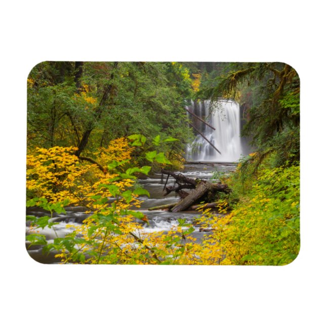 Íman EUA, Oregon, Silver Falls State Park 2 (Horizontal)