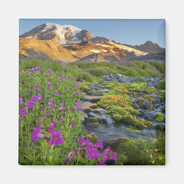 Íman EUA, Parque Nacional Mt. Rainier, Washington. (Frente)