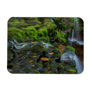 Íman EUA, Pensilvânia, Benton, Ricketts Glen State