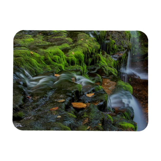 Íman EUA, Pensilvânia, Benton, Ricketts Glen State (Horizontal)