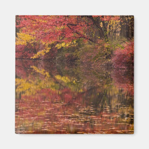 Íman EUA, Pensilvânia, Delaware Water Gap National