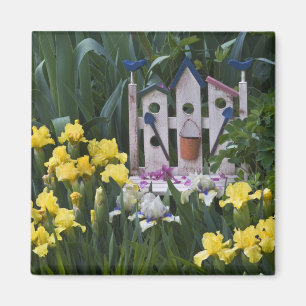 Íman EUA, Pensilvânia. Os irguetos do jardim crescem