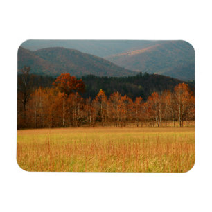 Íman EUA, Tennessee. Cades Cove nas Smoky Mountain