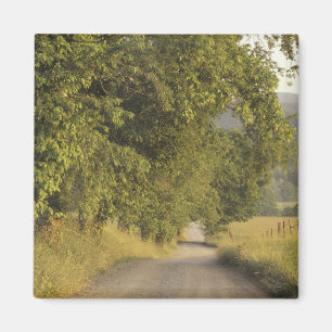 Íman EUA, Tennessee, Excelente Mountains National 2