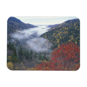 Íman EUA, Tennessee, Excelente Smokey Mountains Nationa