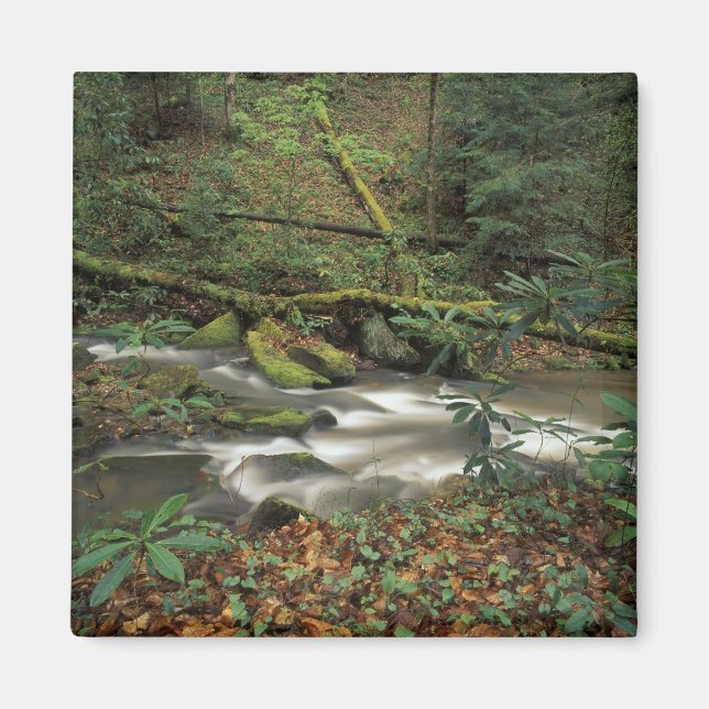 Íman EUA, Tennessee. Rio Grande do Sul Fork (Frente)