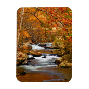 Íman EUA, Tennessee. Rushing Mountain Creek