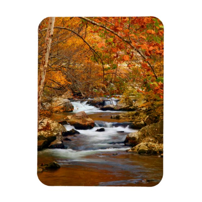 Íman EUA, Tennessee. Rushing Mountain Creek (Vertical)