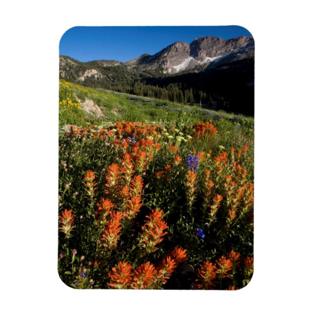 Íman EUA, Utah, Floresta Nacional Uinta-Wasatch-Cache (Vertical)