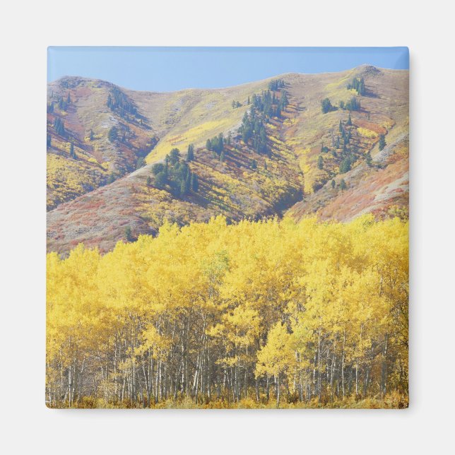 Íman EUA, Utah, Floresta Nacional Wasatch-Cache, (Frente)