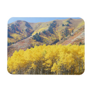 Íman EUA, Utah, Floresta Nacional Wasatch-Cache,