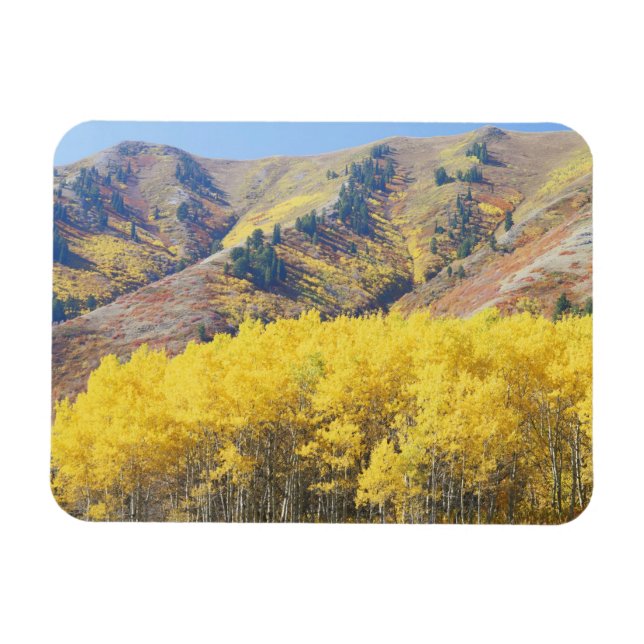 Íman EUA, Utah, Floresta Nacional Wasatch-Cache, (Horizontal)