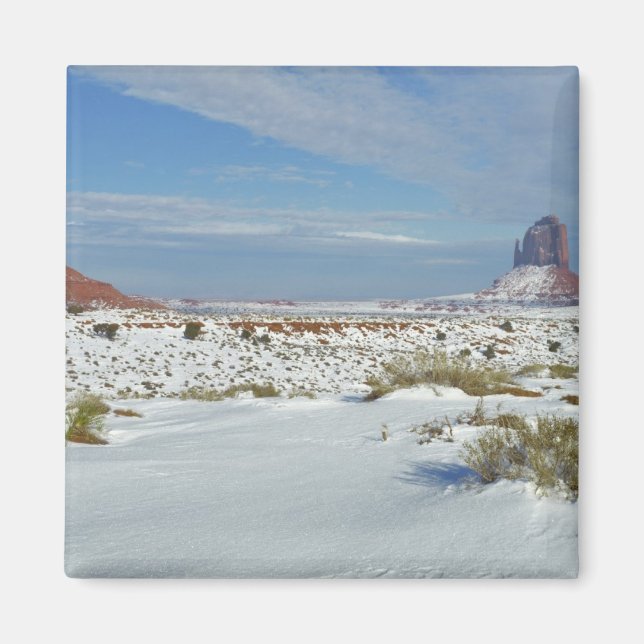 Íman EUA, Utah, Monument Valley. Artemísia (Frente)