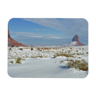 Íman EUA, Utah, Monument Valley. Artemísia