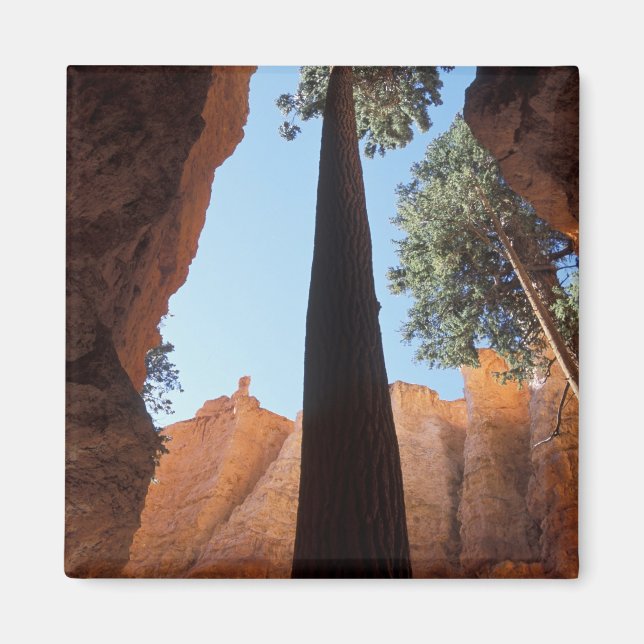 Íman EUA, Utah, Parque Nacional Bryce Canyon. Alto (Frente)