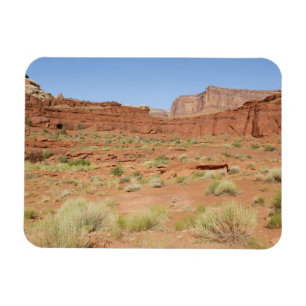 Íman EUA, Utah, Parque Nacional Canyonlands, Shafer Can