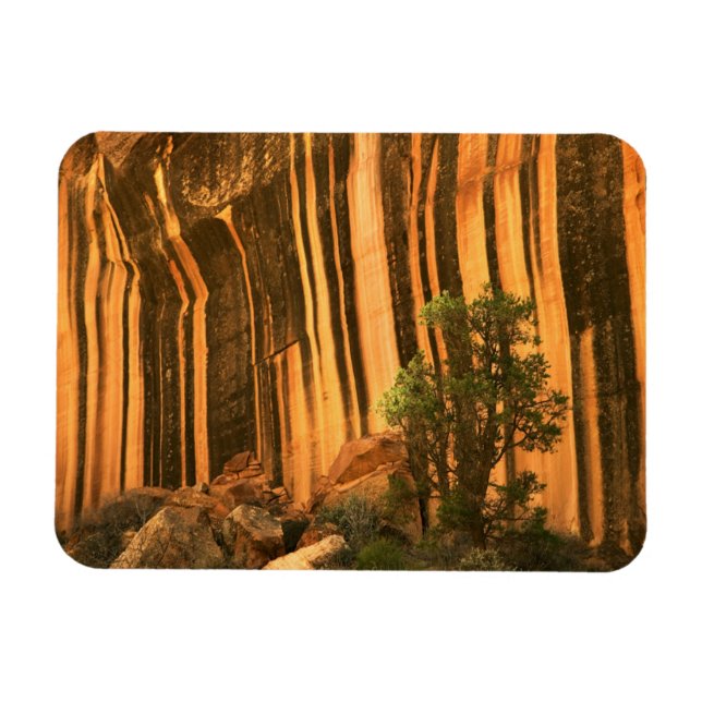 Íman EUA, Utah, Parque Nacional Capitol Reef (Horizontal)