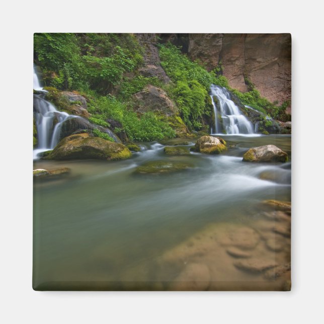 Íman EUA, Utah, Parque Nacional de Zion. O Virgin (Frente)