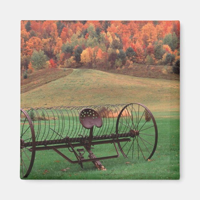 Íman EUA, Vermont, Fazenda. (Frente)