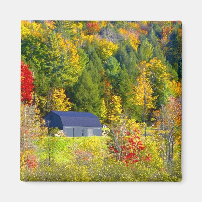 Íman EUA, Vermont. Folhagem de outono ao longo da rodov (Frente)