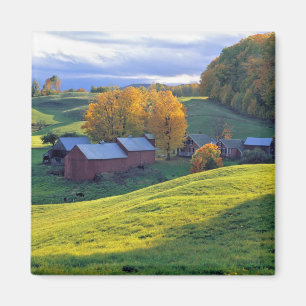 Íman EUA, Vermont, Jenne Farm. Colinas verdes ondulante